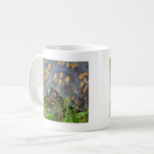 Mug Bonjour ! Tortue curieuse (Devant gauche)