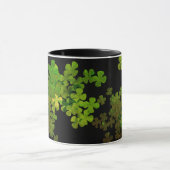Mug Bonne Saint Patrick, shamrock irlandais (Centre)