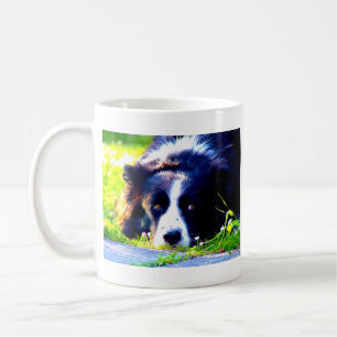 Mug Border collie