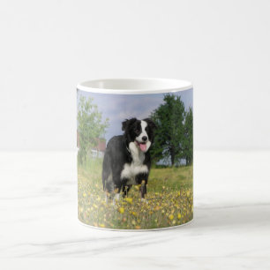 Mug border collie plein 3.png