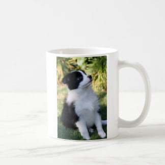 Mug Bordure Collie
