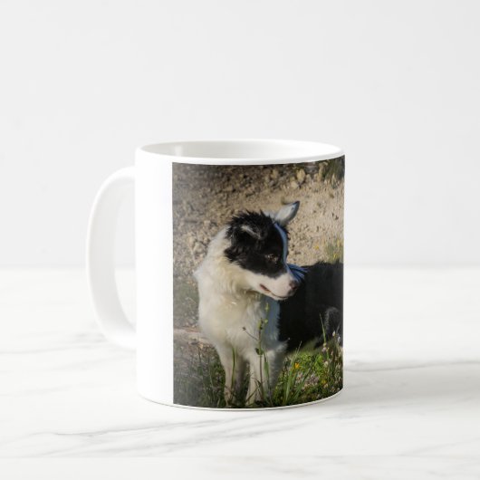 Mug Bordure Collie Australian Shepherd Mix (Devant gauche)