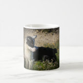 Mug Bordure Collie Australian Shepherd Mix (Centre)