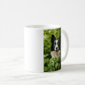 Mug Bordure Collie en vert (Devant droit)
