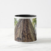Mug Bosquet Roosevelt (Centre)