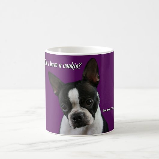 Mug Boston Terrier :  Biscuit svp ? (Centre)