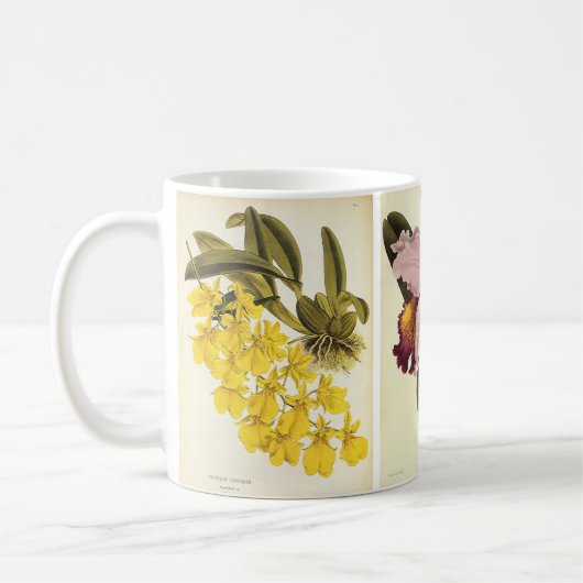 Mug Botanique vintage, Fleurs Tropicales D'Orchidées (Gauche)