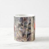 Mug Bouchon de perche cardinal (Centre)