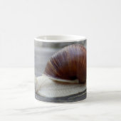 Mug Bouchon romain (Centre)