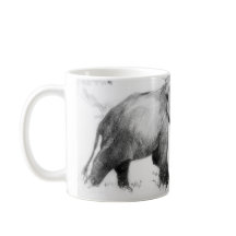 Bouclage d'Elepephants