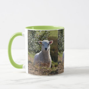 Mug Boue d'agneau de printemps