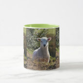 Mug Boue d'agneau de printemps (Centre)