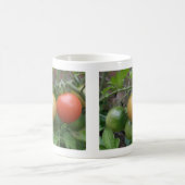 Mug Boue de tomates de feu de circulation (Centre)