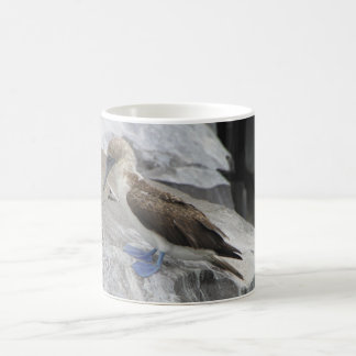 Mug Boue d'oiseaux