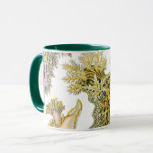 Mug Boues de mer par Ernst Haeckel, Nudibranchia Vinta (Devant gauche)