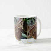 Mug Boug de café blanc papillon (Devant droit)