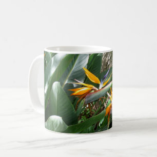Mug Boug De Café Oiseau Du Paradis