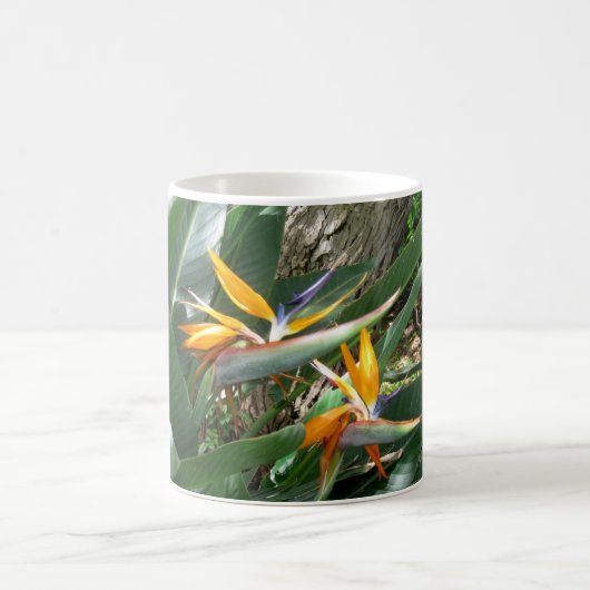 Mug Boug De Café Oiseau Du Paradis (Centre)