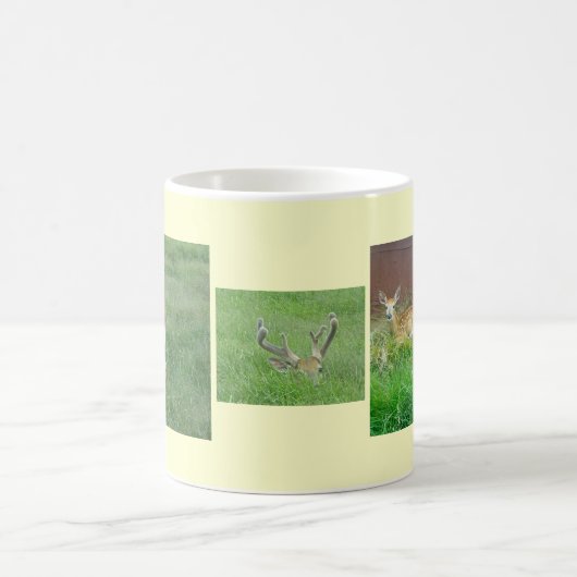 Mug Boug de cerfs à queue blanche (Centre)