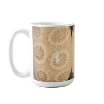 Boug de corail fossilisé cristal