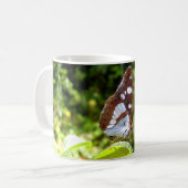 Mug Boug de papillon de l'amiral blanc du sud (Devant gauche)