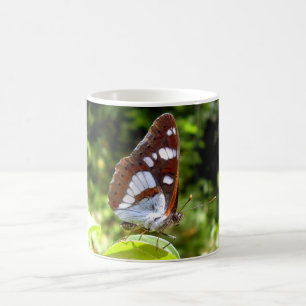 Mug Boug de papillon de l'amiral blanc du sud
