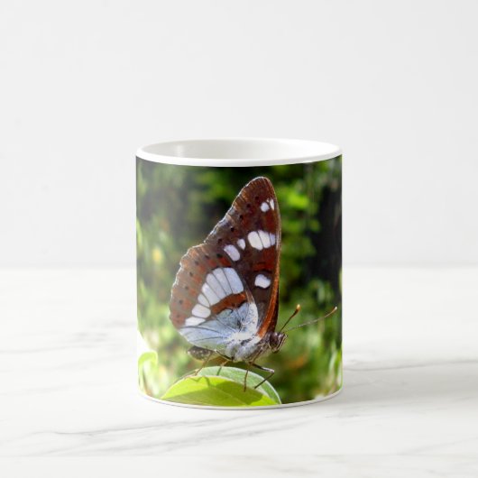 Mug Boug de papillon de l'amiral blanc du sud (Centre)