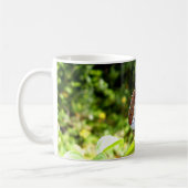 Mug Boug de papillon de l'amiral blanc du sud (Gauche)