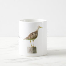 Bouillie de café de Sandpiper