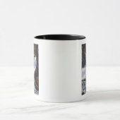 Mug Boulder Falls in Boulder Canyon, Colorado View (Centre)