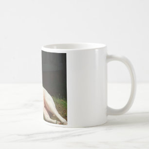 Mug bouledogue américain
