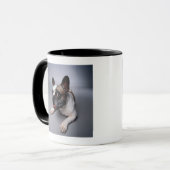 Mug Bouledogue français (Devant gauche)