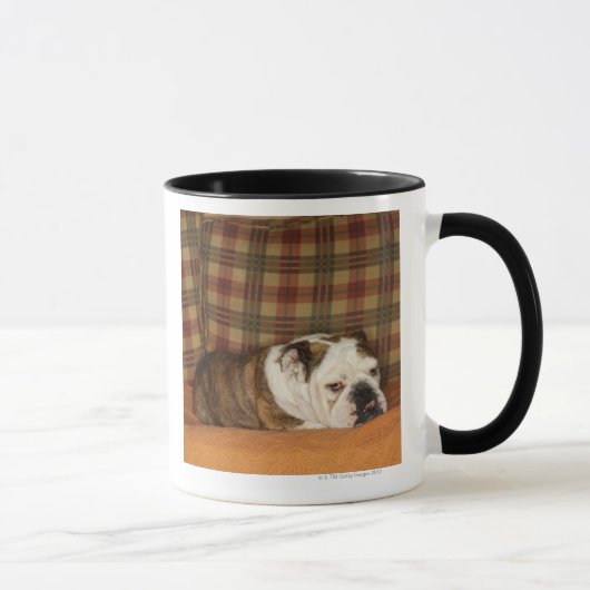 Mug bouledogue se trouvant sur un sofa (Droite)