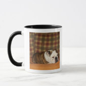 Mug bouledogue se trouvant sur un sofa (Gauche)