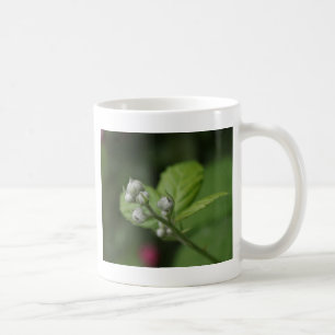Mug bourgeons de fleurs de framboisier sauvage d'été