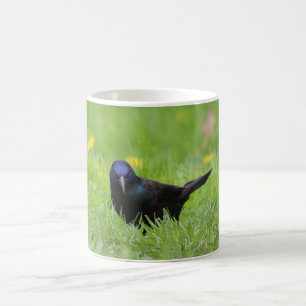 Mug Bouteille d'oiseaux en colère