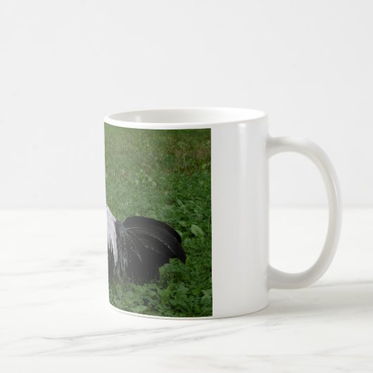 Mug Brakel Hahn (Droite)
