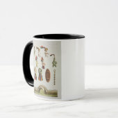 Mug Bras mexicains (litho de couleur) (Devant gauche)