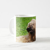Mug Briard fauve (Devant gauche)
