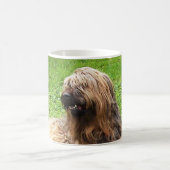 Mug Briard fauve (Centre)
