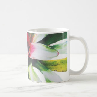 Mug Bromeliad