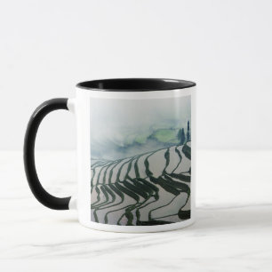 Mug Brouillard de matin au-dessus des gisements de riz
