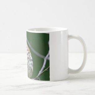 Mug Brown Thrasher avec / Catch Of The Day Cadeaux Vêt