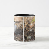 Mug Bruant à couronnes blanches dans le soleil d'hiver (Centre)