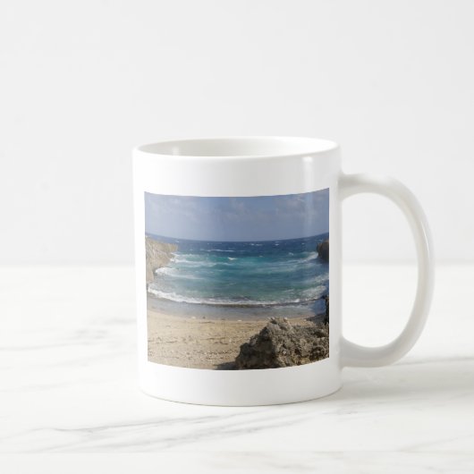 Mug Bruit d'Aruba (Droite)