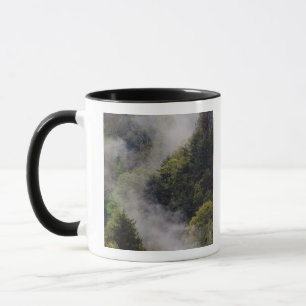 Mug Brume s'élevant du flanc de la montagne après la p