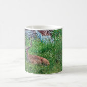 Mug Buck de lit (Centre)