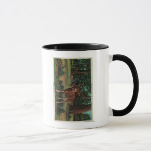 Mug Buck Deer dans le parc national Yosemite