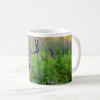 Mug Buck in meadow