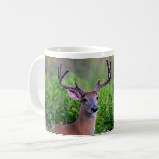 Mug Buck in meadow (Devant gauche)
